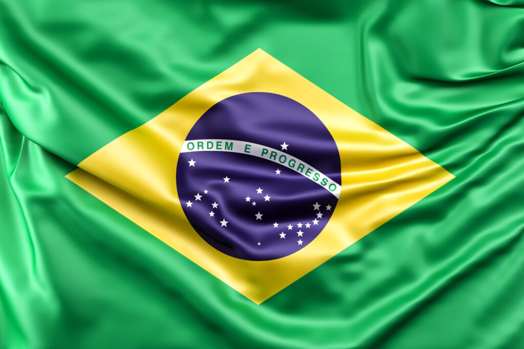 Flag brazil Rnm, registro nacional migratório, estrangeiro no brasil, rne, migração no brasil